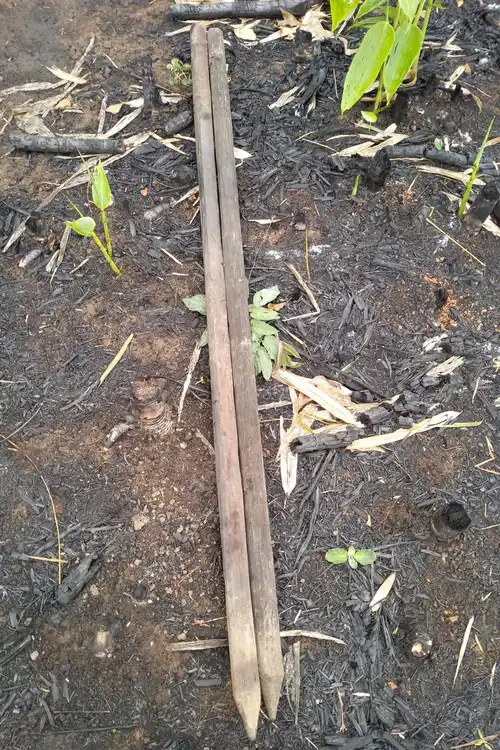 Letu People's Tool for Putting the Seed in Shifting Cultivation Field