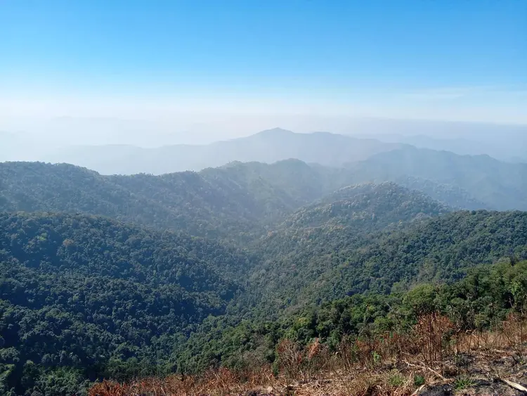 Buawtju cung.png