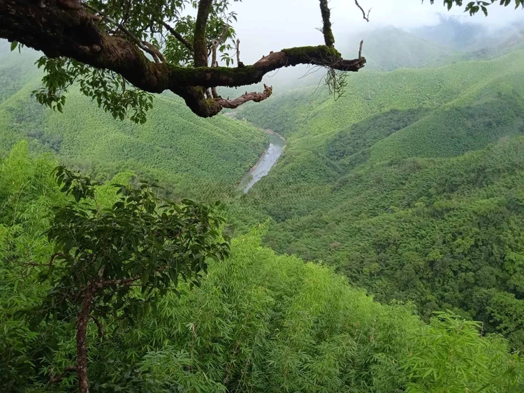 Vaplong Area